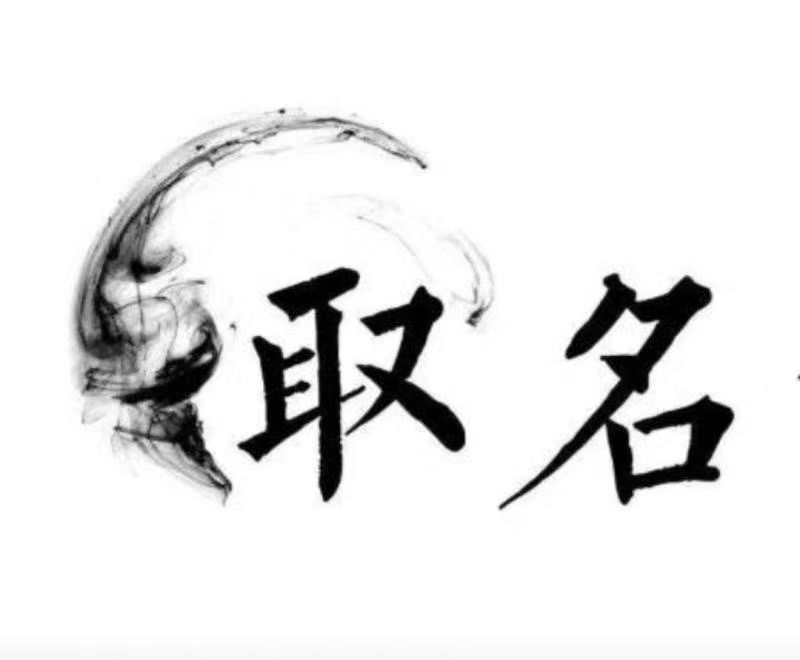 岳塘宝宝取名 大师一对一人工起名