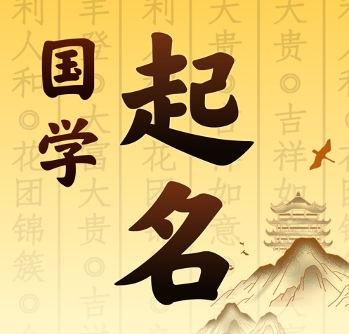 岳塘国学起名 人工起名一对一