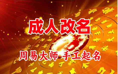 岳塘成人改名-找大师一对一改名先分析后改名